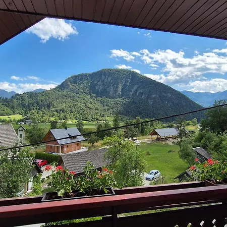 Pocitniska Hisa Novak Bohinj